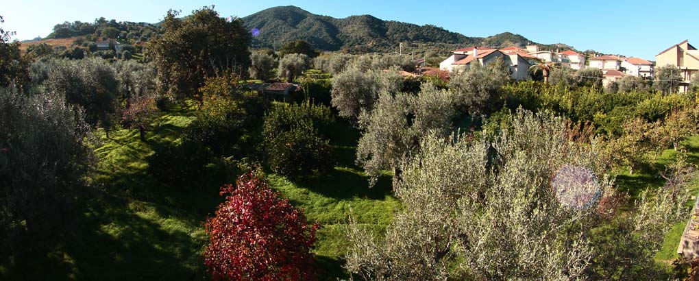 i terreni agricoli calabresi in cui vengono raccolte le materie prime usate per i 
                    liquori calabresi