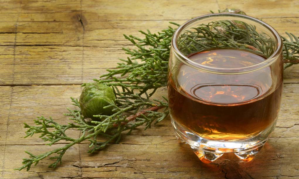 erbe aromatiche usate per produrre il liquore amaro calabro liquori